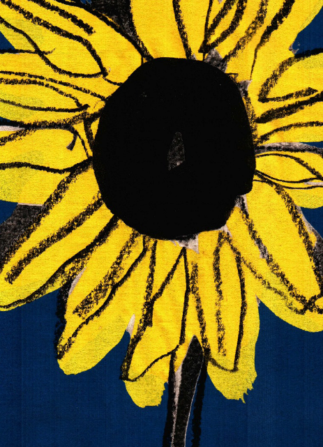 Clothes For Progress